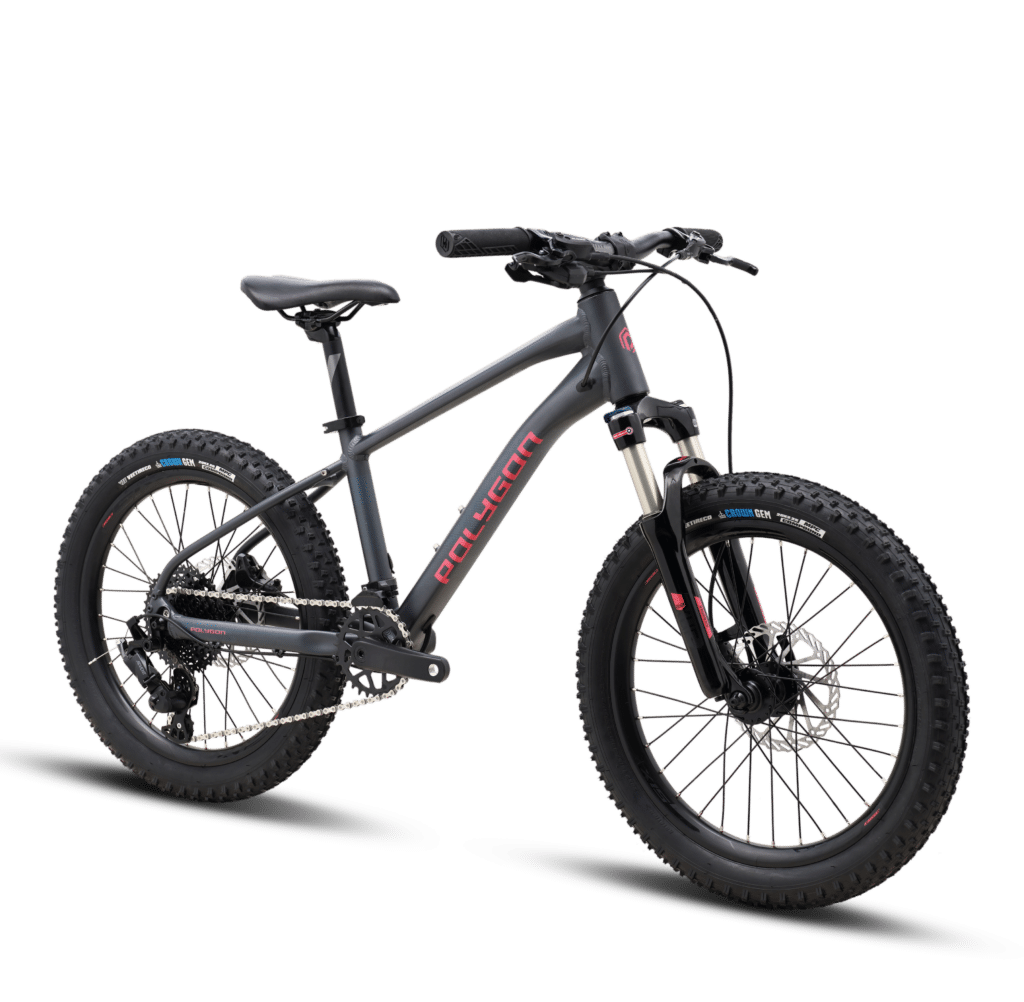 Polygon Bikes - MY23 XTRADA 20 RF