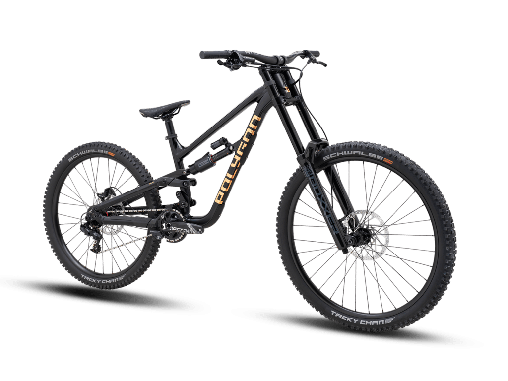 Polygon Bikes - MY25 COLLOSUS DH-P RF