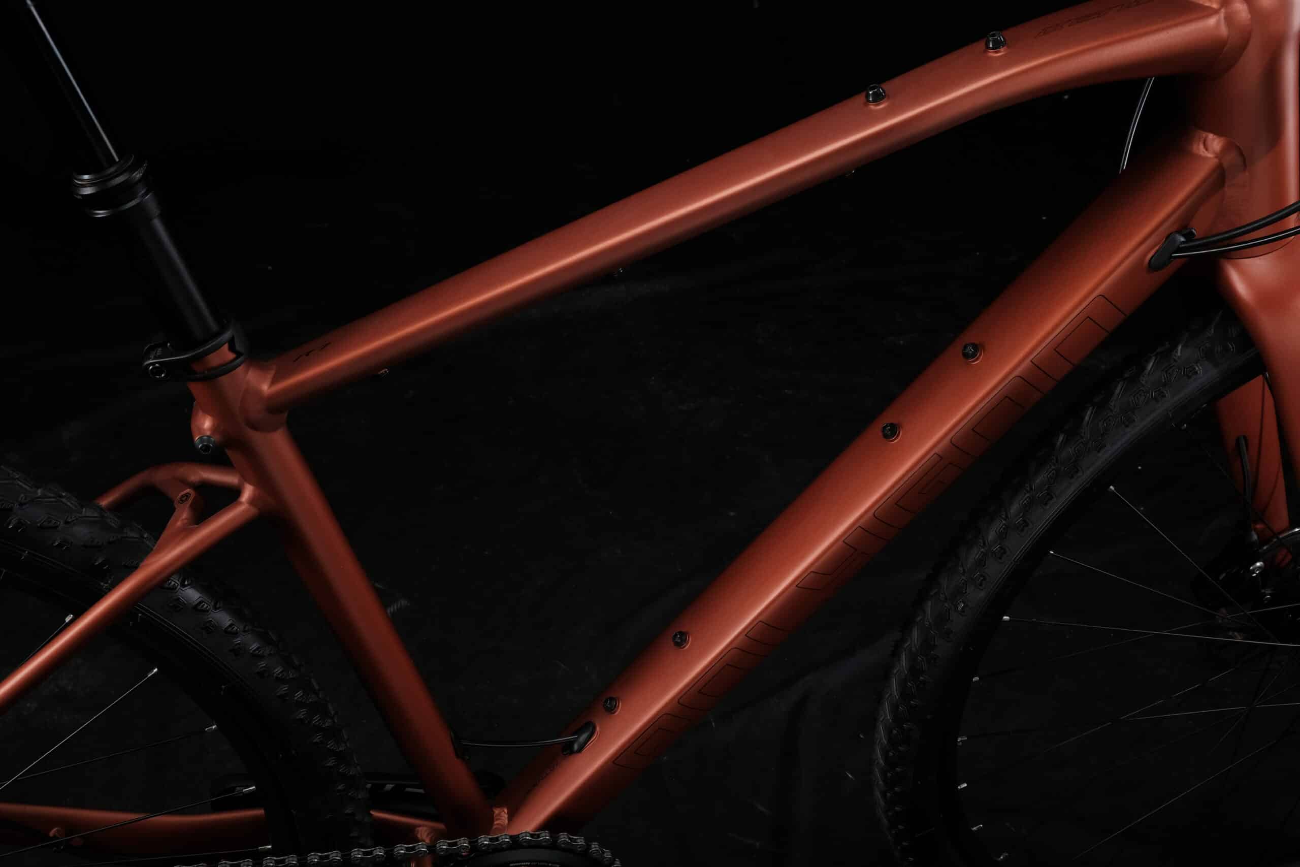 Polygon Bikes - XH1F9866