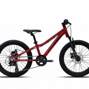 Polygon Bikes - MY25-RELIC20-RED-P